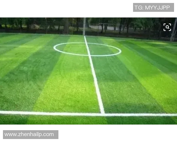 足球场草皮技术揭秘 足球场草皮技术揭秘